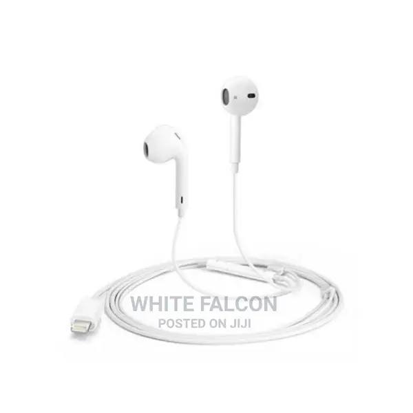 Apple Earphones