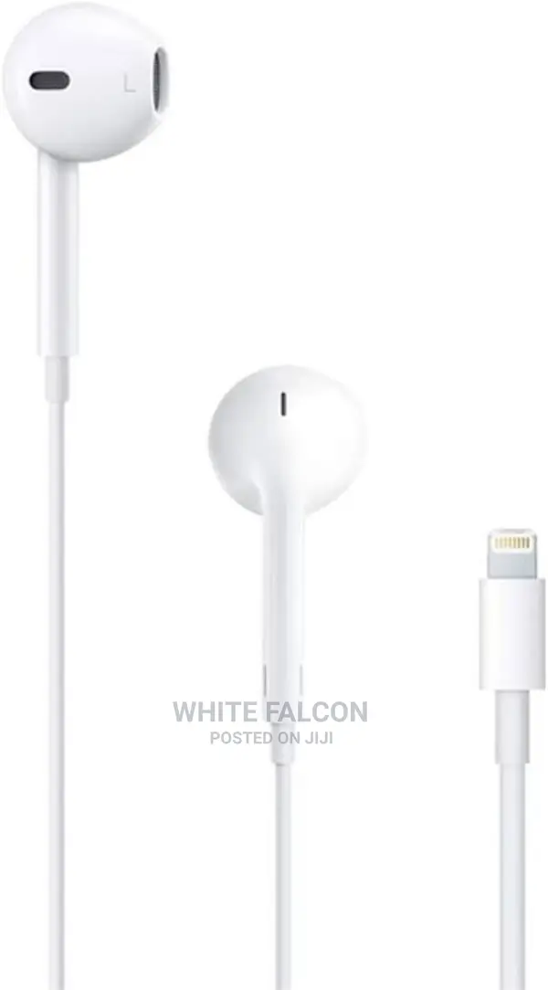 Apple Earphones