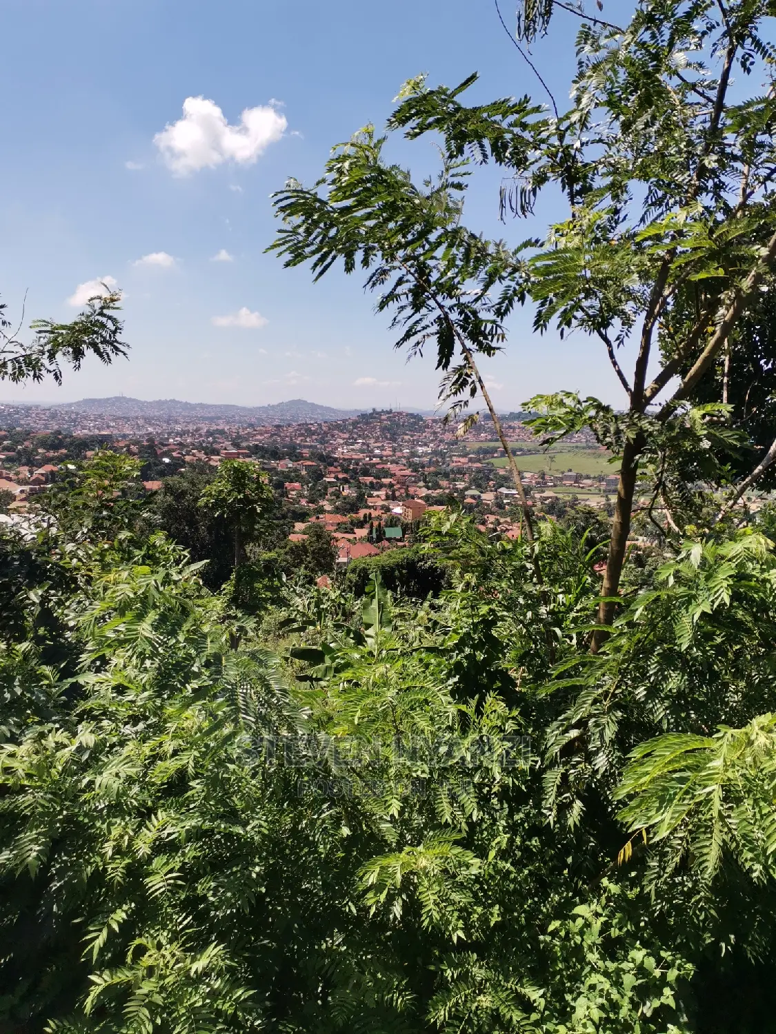 Titled Half Acre on the Hill Top Bunamwaya Ngobe.