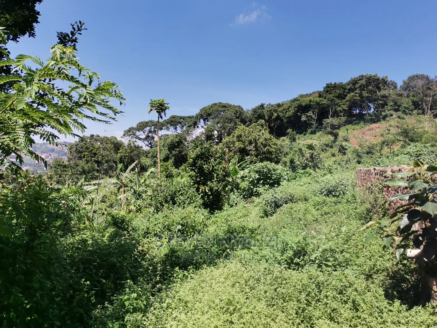 Titled Half Acre on the Hill Top Bunamwaya Ngobe.