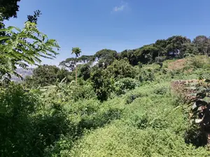 Titled Half Acre on the Hill Top Bunamwaya Ngobe.