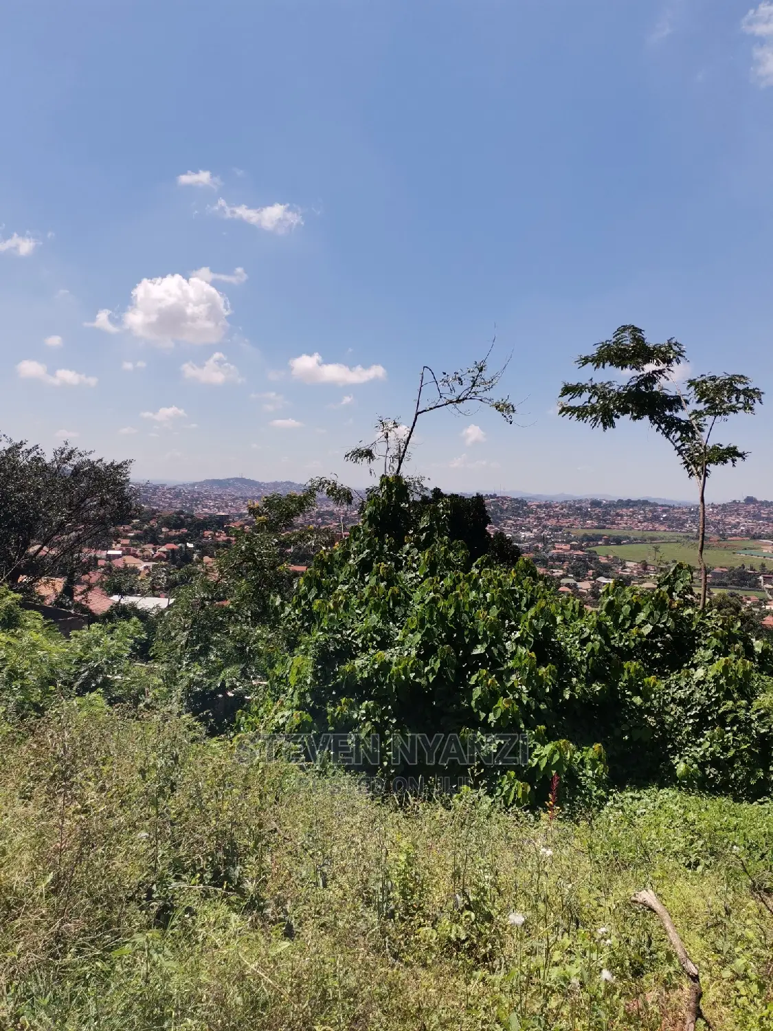 Titled Half Acre on the Hill Top Bunamwaya Ngobe.