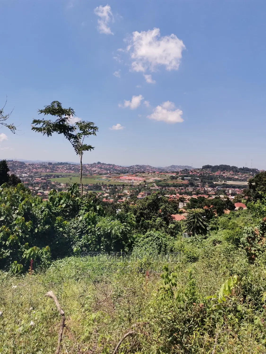 Titled Half Acre on the Hill Top Bunamwaya Ngobe.