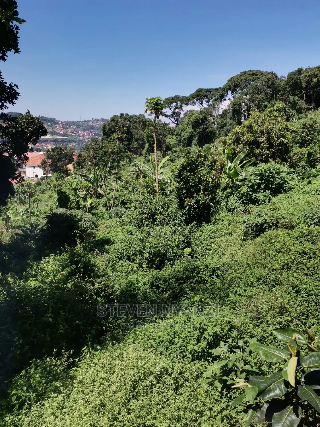 Titled Half Acre on the Hill Top Bunamwaya Ngobe.