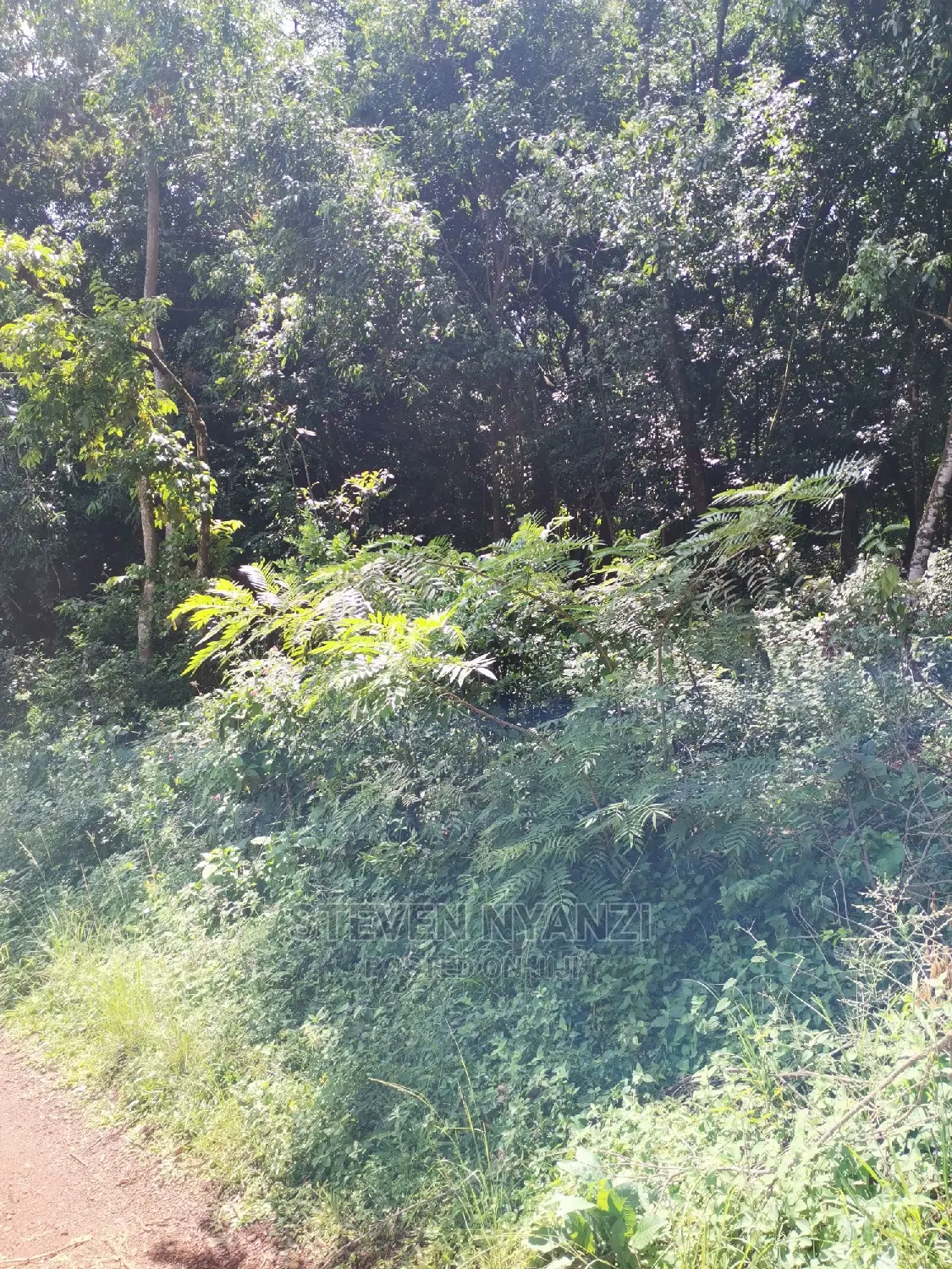 Genuine Land. Prime Residential /Business Land. 1 Acre.