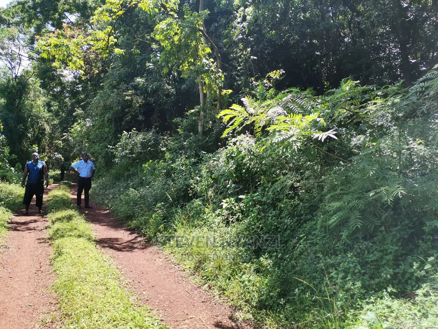 Genuine Land. Prime Residential /Business Land. 1 Acre.