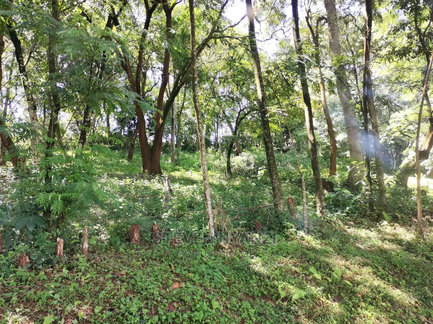 Genuine Land. Prime Residential /Business Land. 1 Acre.