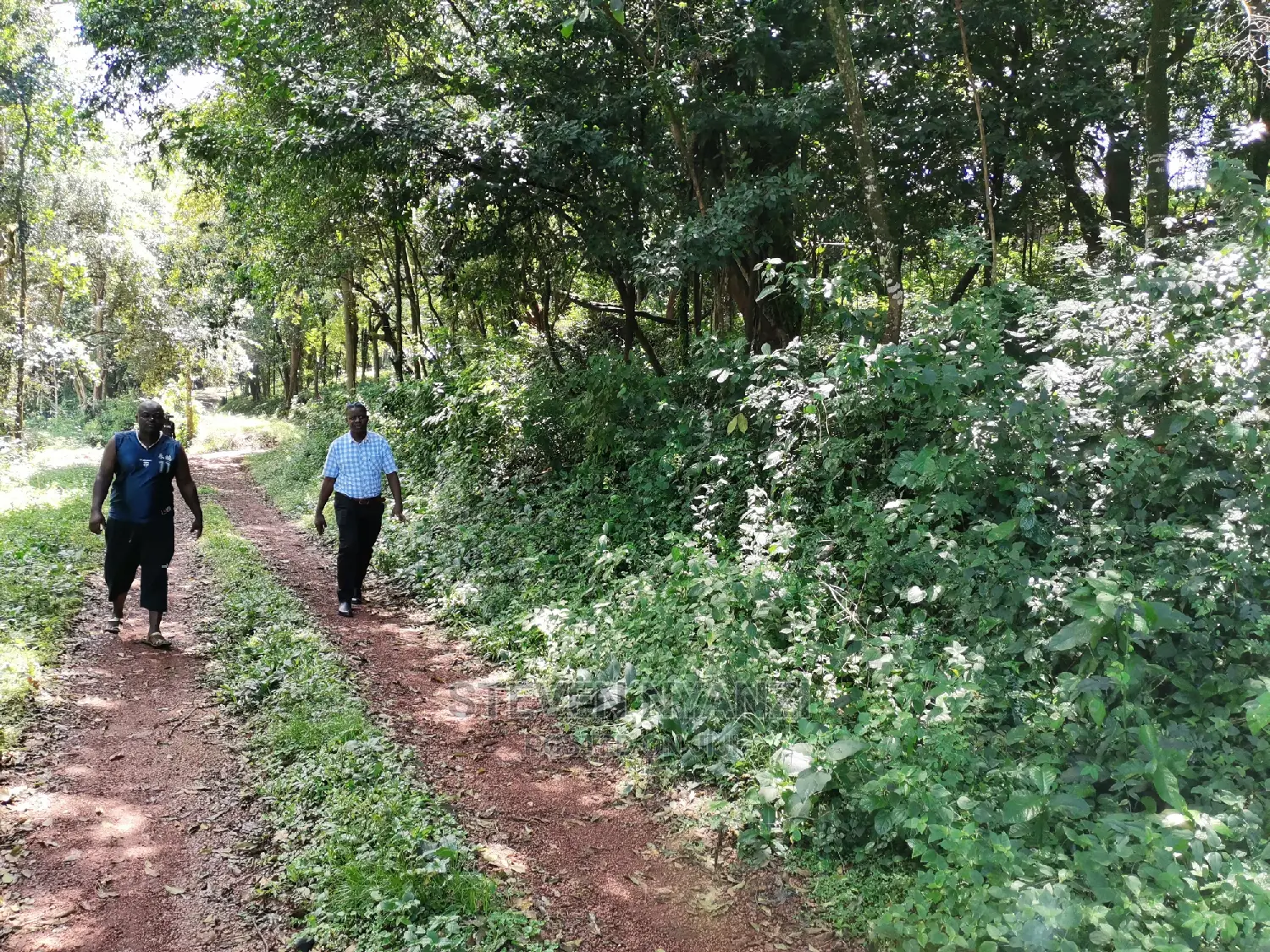 Genuine Land. Prime Residential /Business Land. 1 Acre.