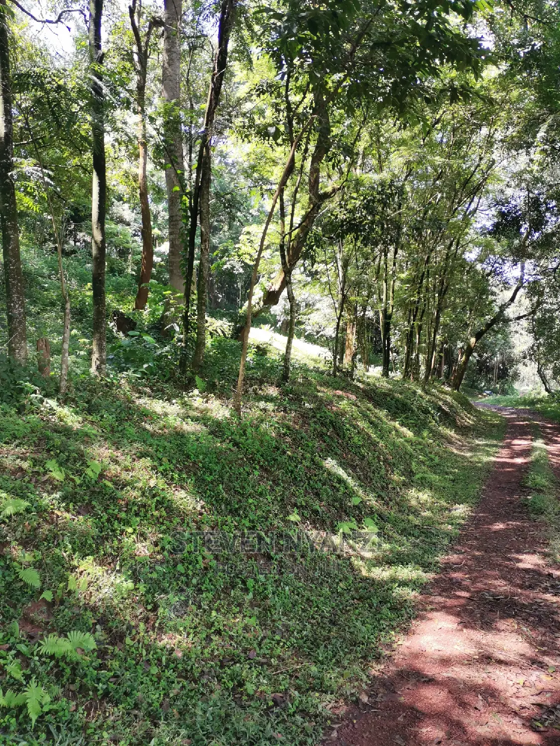 Genuine Land. Prime Residential /Business Land. 1 Acre.
