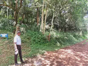 Genuine Land. Prime Residential /Business Land. 1 Acre.