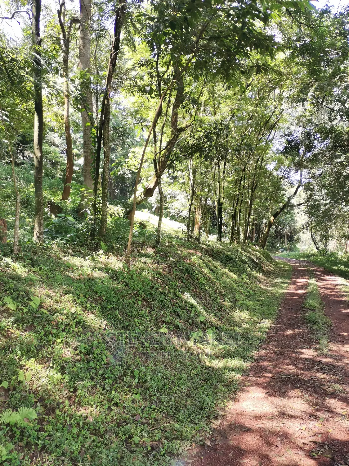 Genuine Land. Prime Residential /Business Land. 1 Acre.