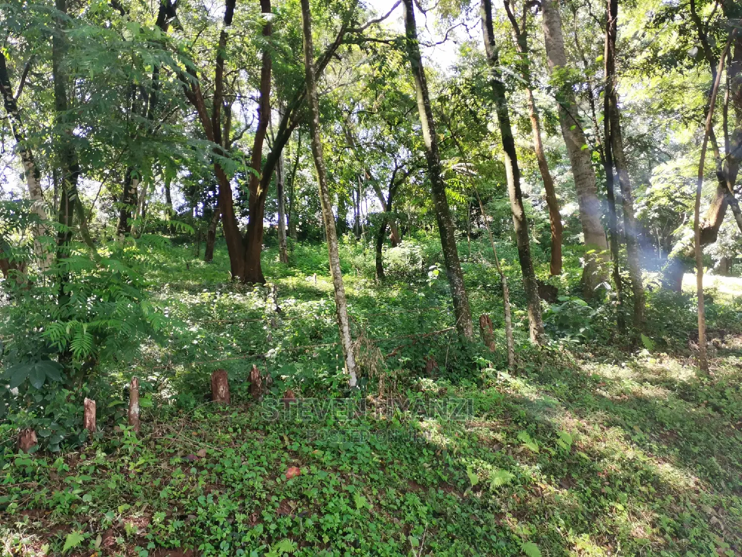 Genuine Land. Prime Residential /Business Land. 1 Acre.