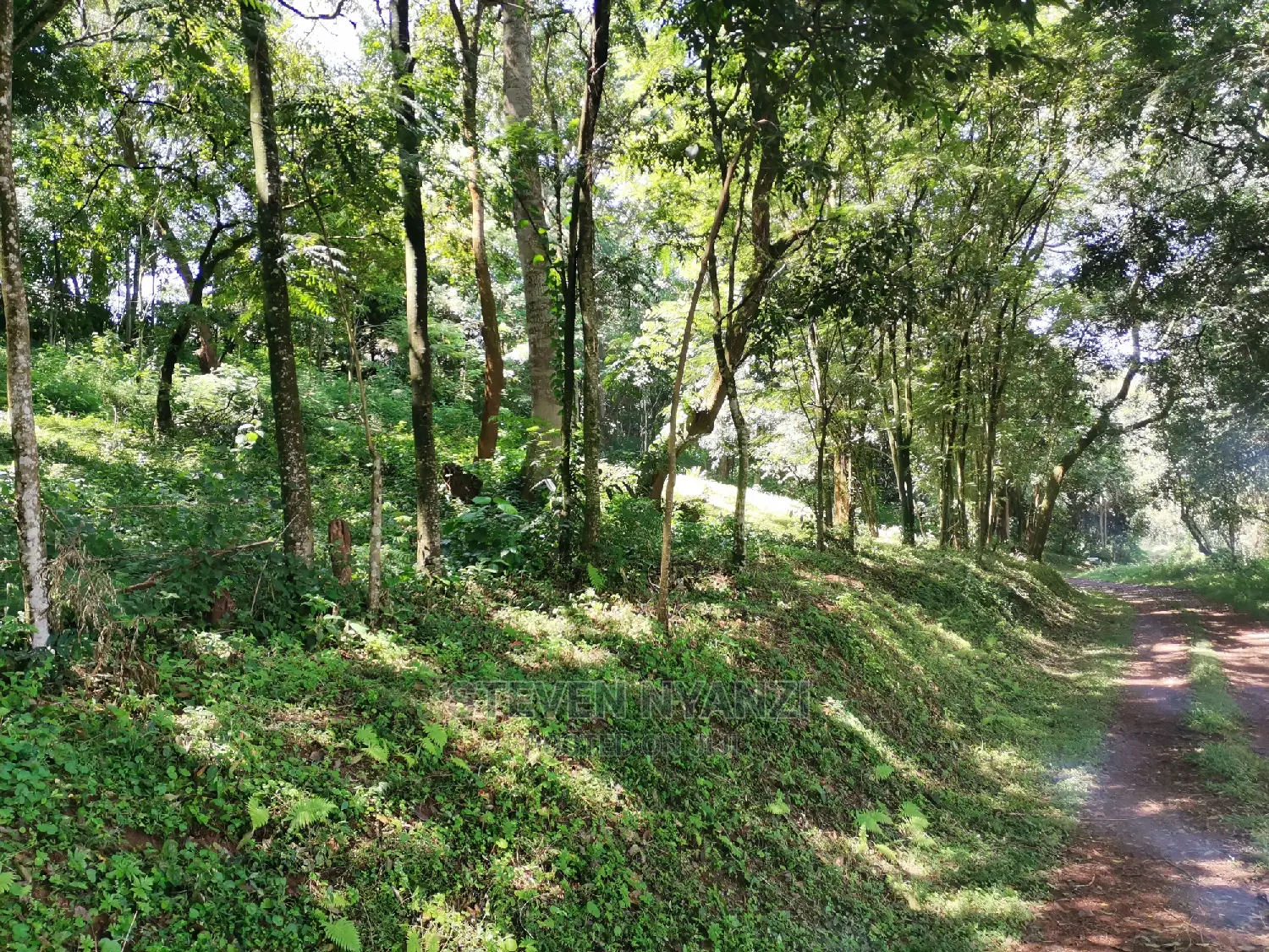Genuine Land. Prime Residential /Business Land. 1 Acre.