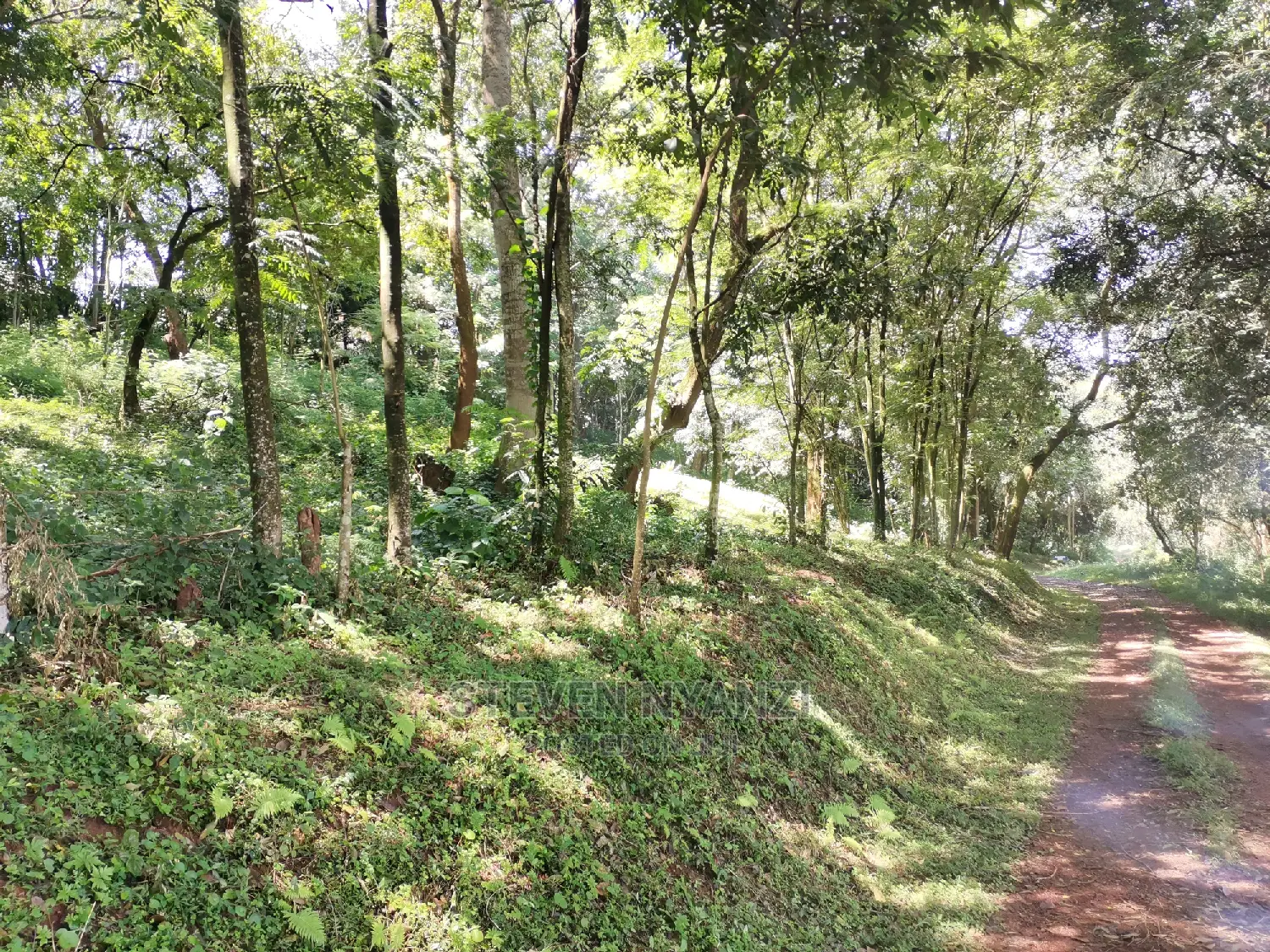 Genuine Land. Prime Residential /Business Land. 1 Acre.