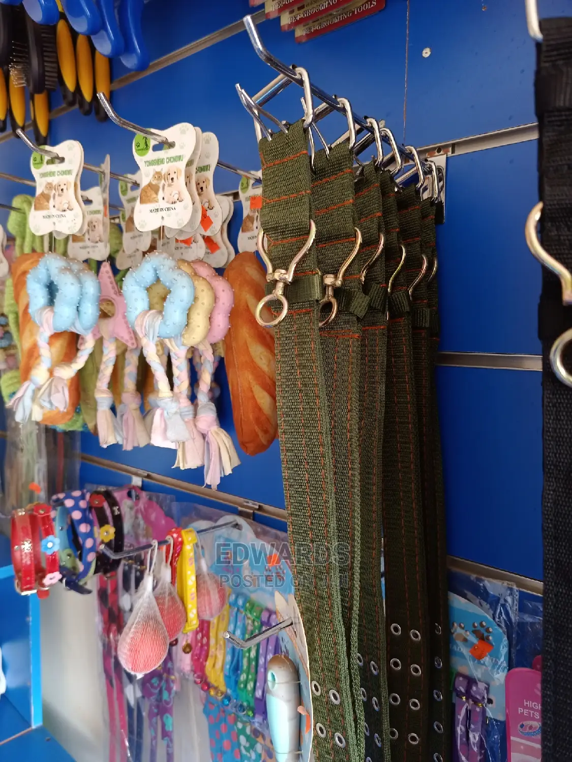All Dog Collars