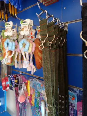 All Dog Collars
