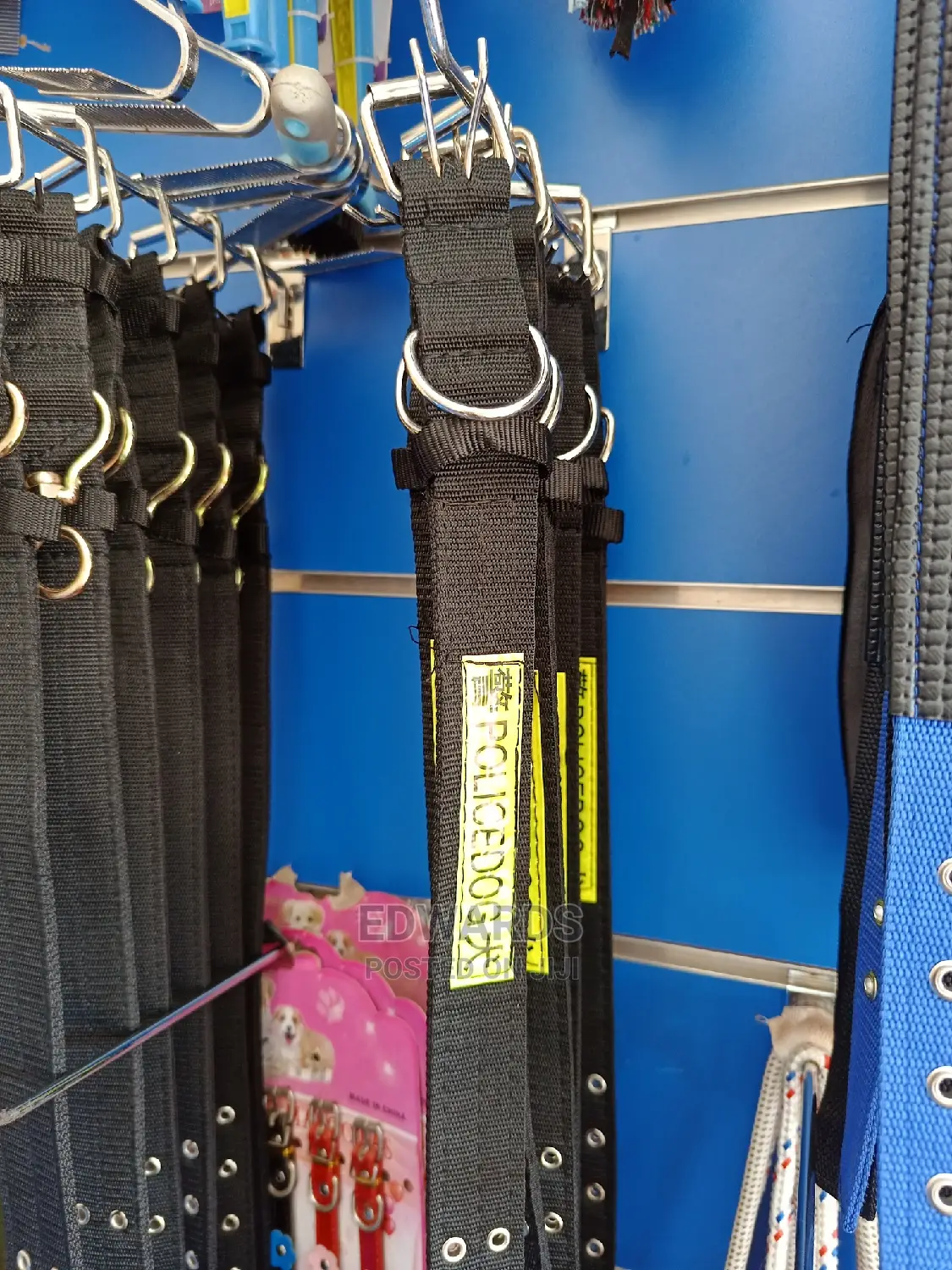 All Dog Collars