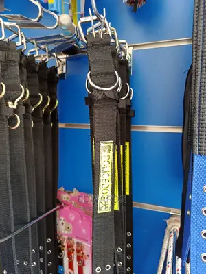 All Dog Collars