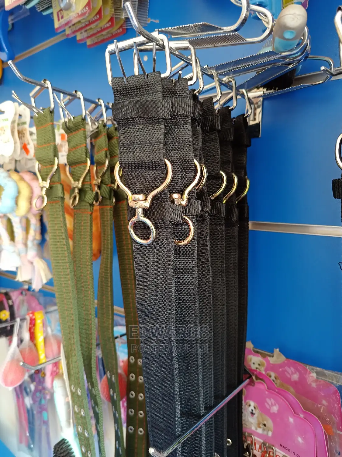 All Dog Collars