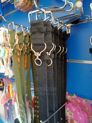 All Dog Collars