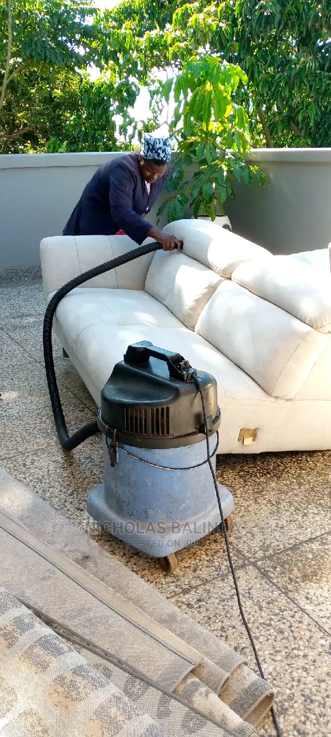Cleaners for the Sofas Seaters