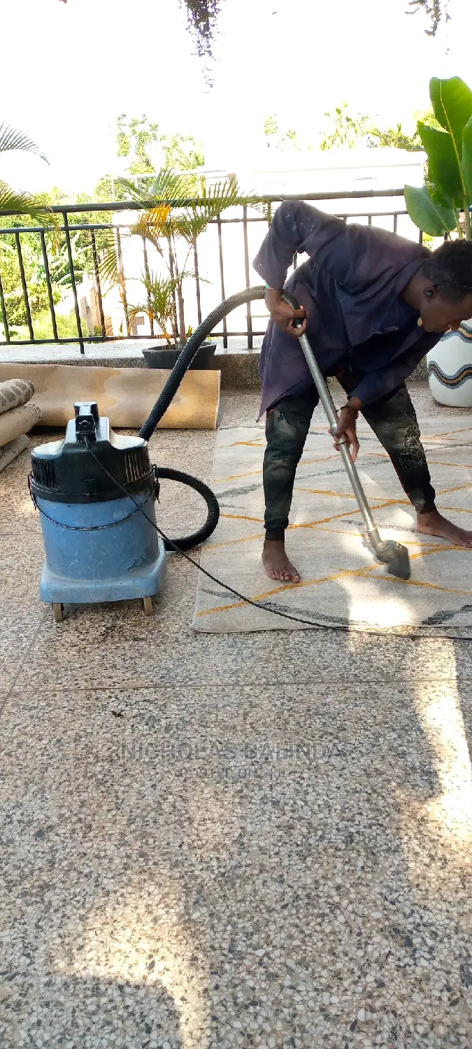 Vacuuming Carpets