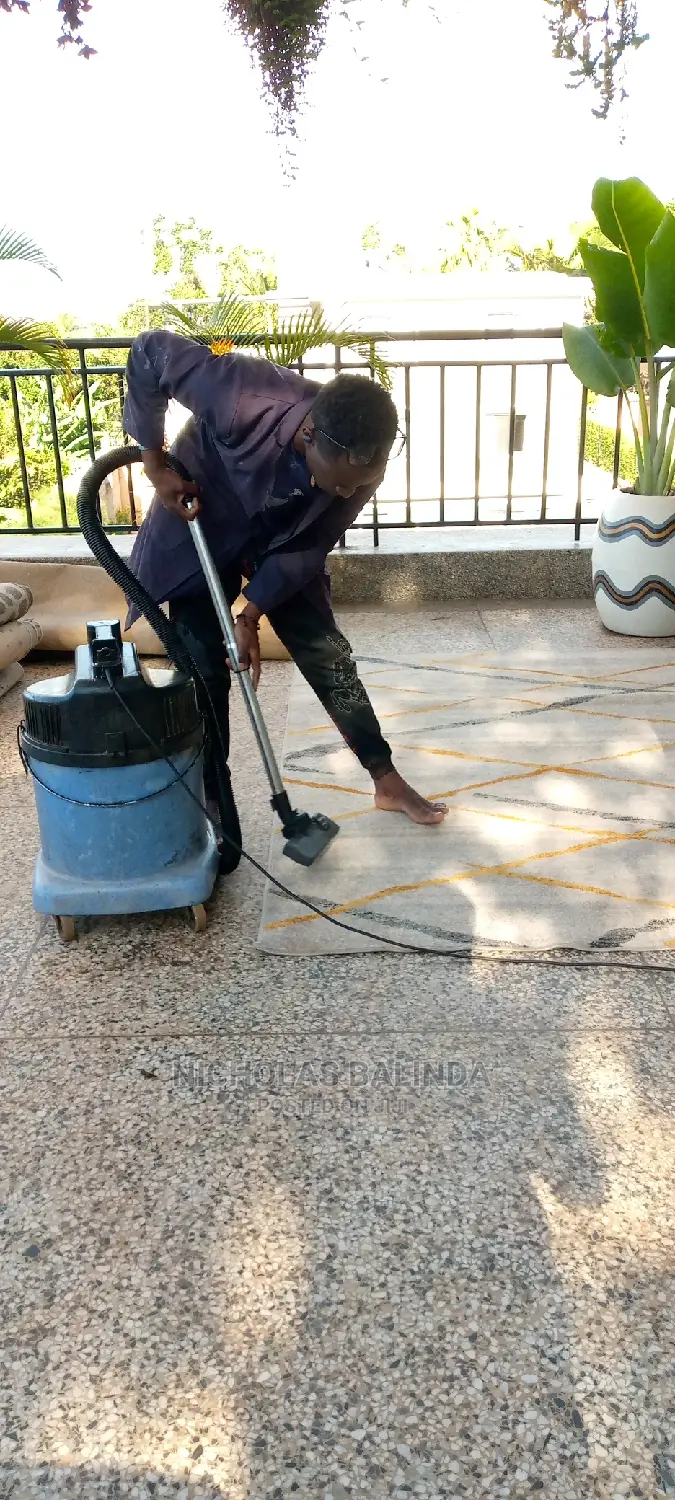 Vacuuming Carpets