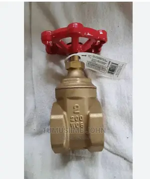 Gate Valve1,1/2