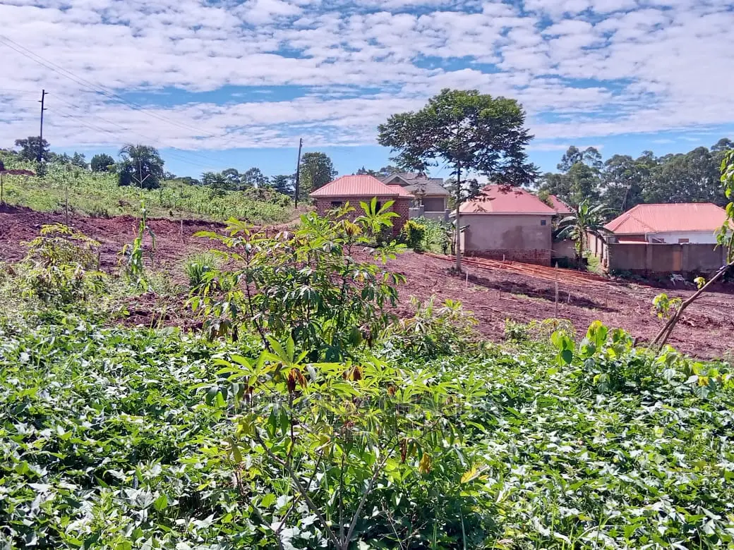 7acres Commercial Land in Matugga for Sale