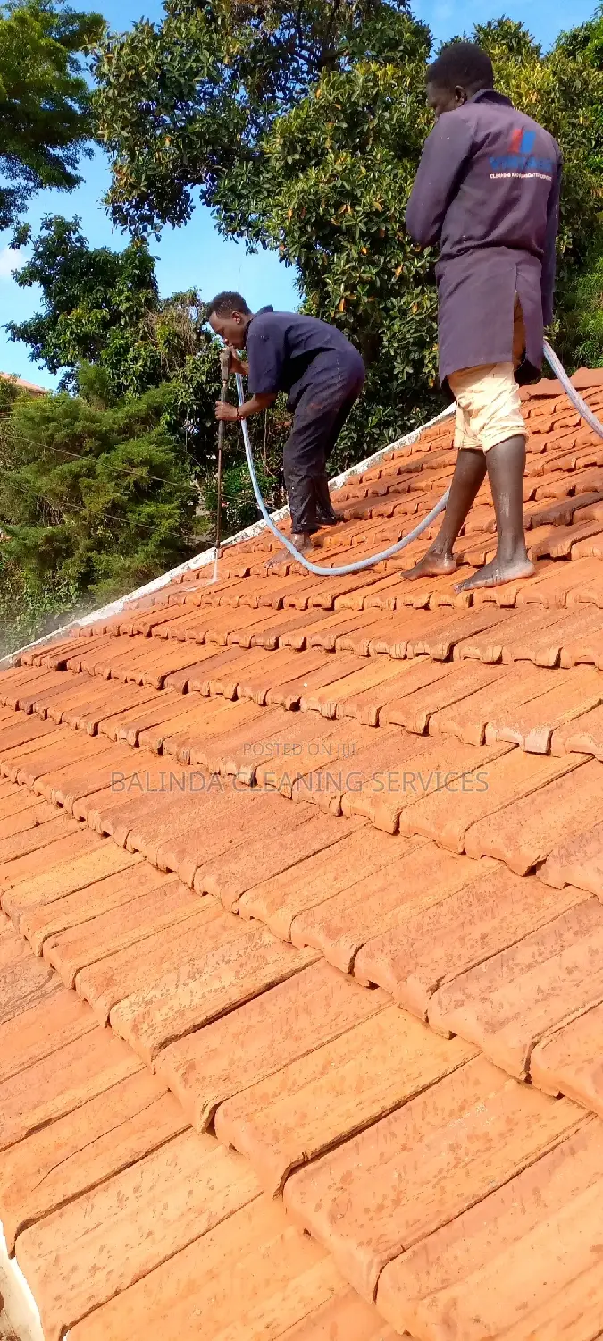 Roof Cleaners