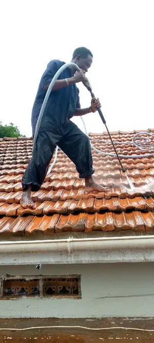 Roof Cleaners
