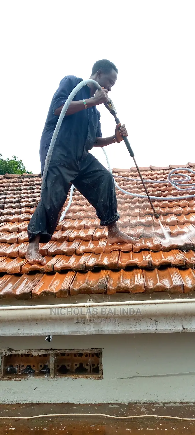 Roof Cleaners