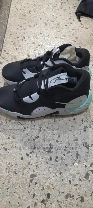 Original Basketball Shoe(Nike);
