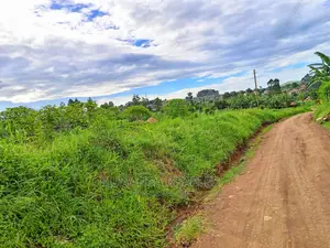 Plot's in Gayaza Busukuma