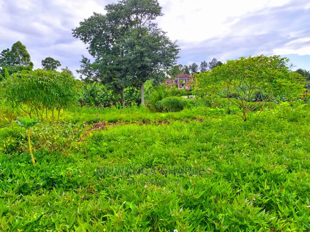 Plot's in Gayaza Busukuma