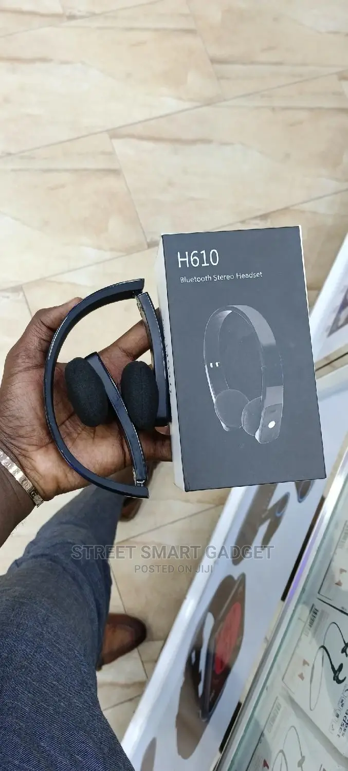H610 Portable Headphones