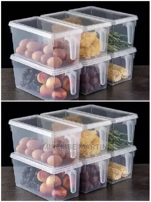 Fridge Storage Container