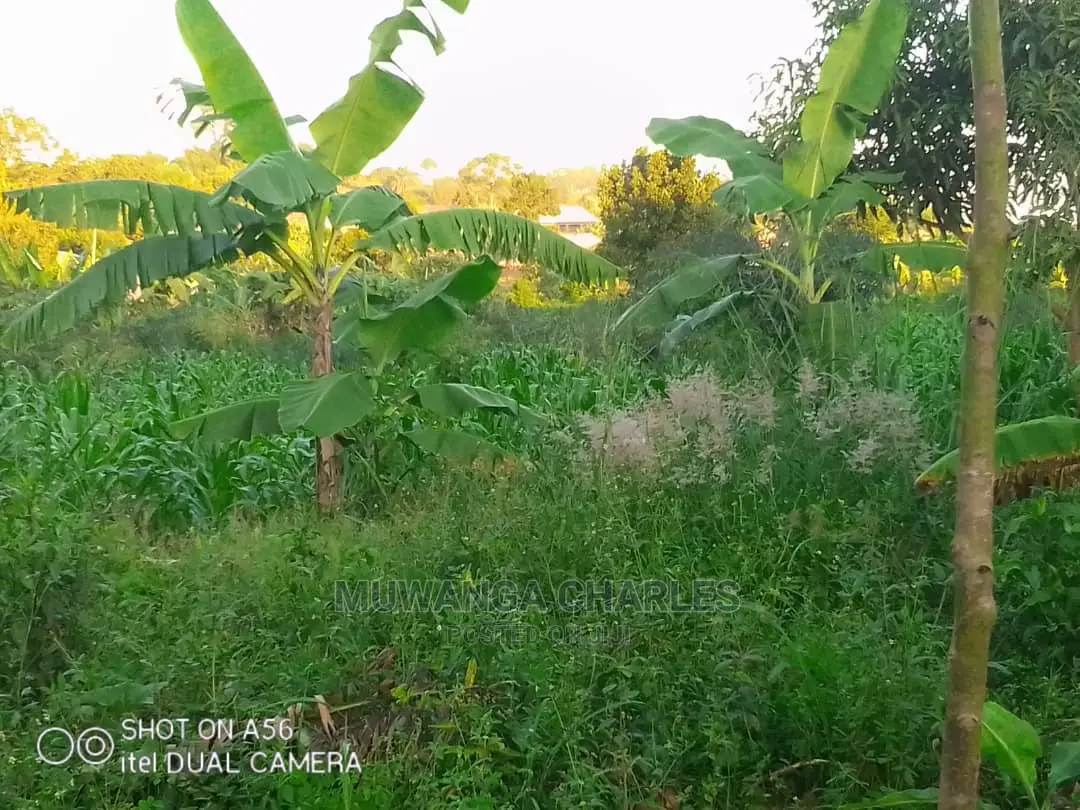 Plots in Gayaza Majigye