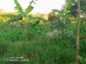 Plots in Gayaza Majigye
