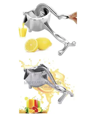 Fruit Juicer Press