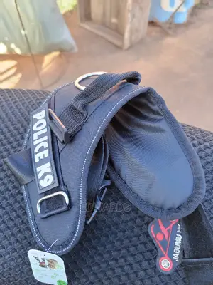 Black Dog Harness