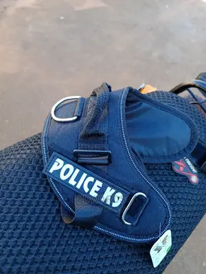 Black Dog Harness