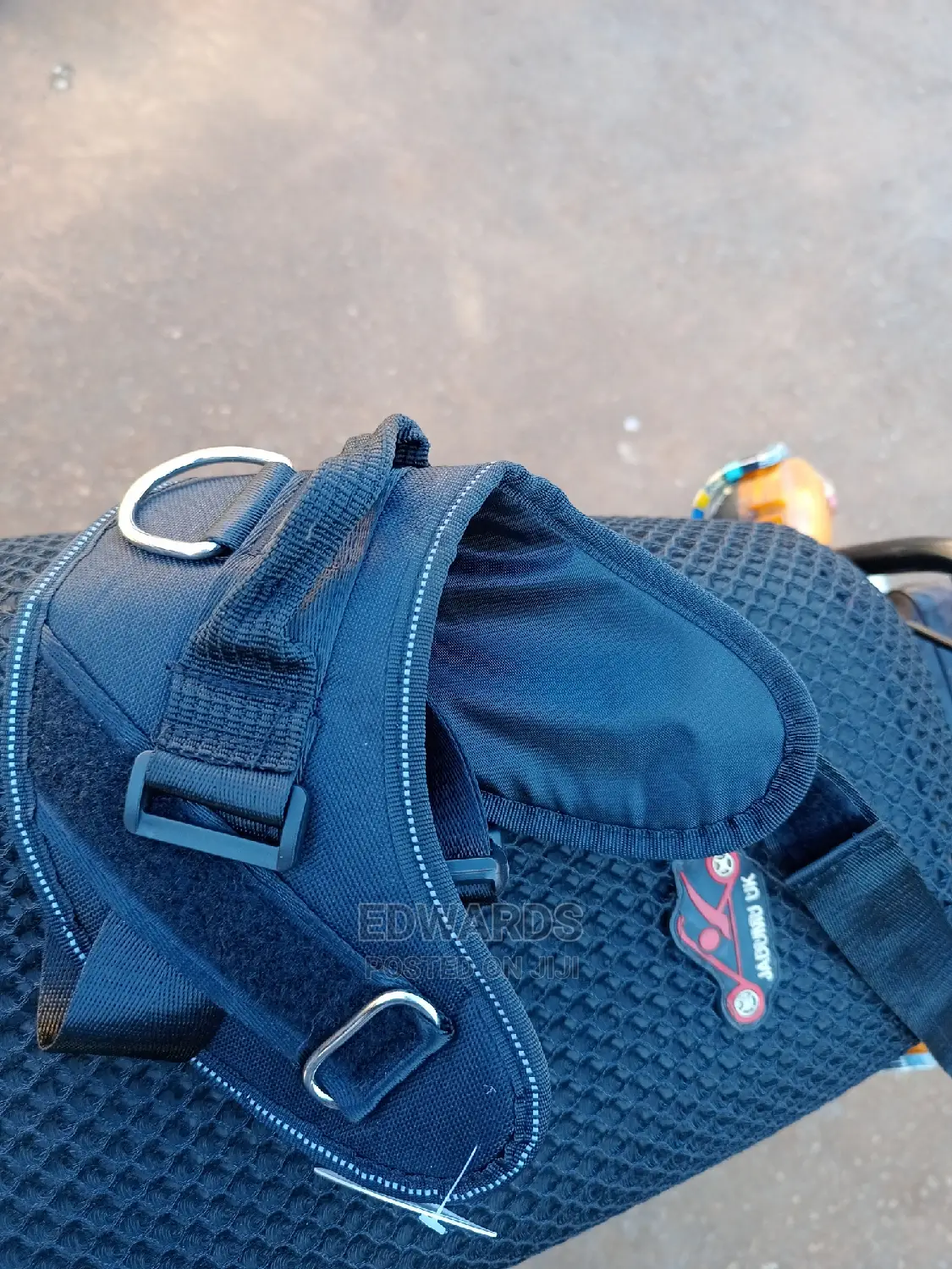 Black Dog Harness