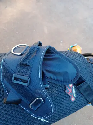 Black Dog Harness