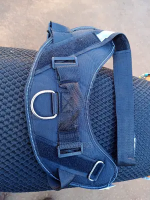 Black Dog Harness