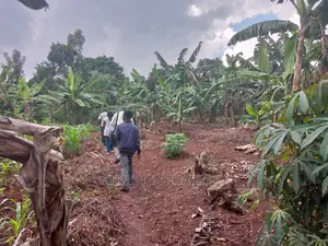 3acres of Land for Sale in Zirobwe Wakatayi