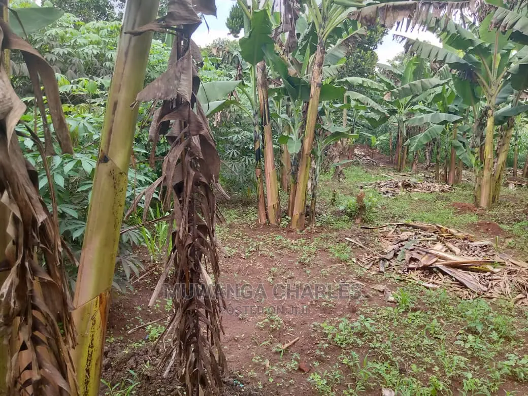 3acres of Land for Sale in Zirobwe Wakatayi