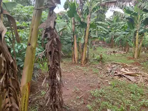 3acres of Land for Sale in Zirobwe Wakatayi