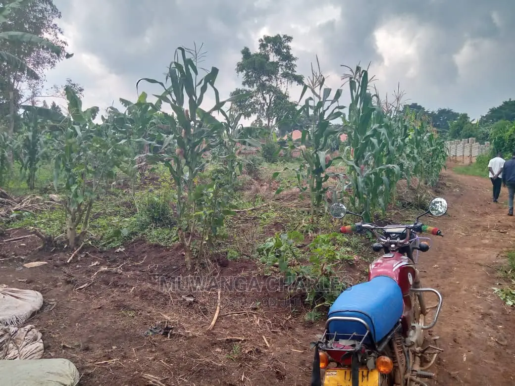 3acres of Land for Sale in Zirobwe Wakatayi