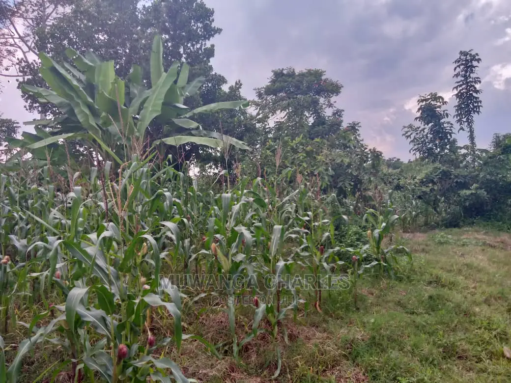 3acres of Land for Sale in Zirobwe Wakatayi